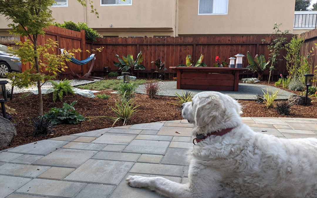 Transforming Outdoor Spaces: Your Guide to Landscape Design in Alameda, CA